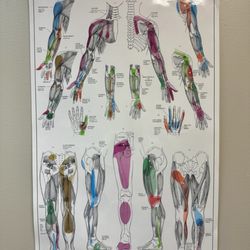 Rosewood Wellness - Acupuncture