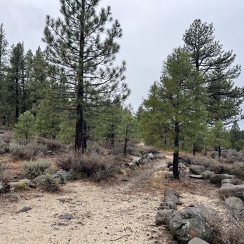 Truckee River Regional Park - Parks Near Me - Truckee, California Truckee River Regional Park - Parks Near Me - Truckee, California