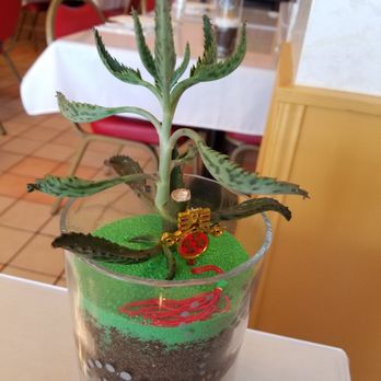 XO Restaurant - Live plants as centerpieces - Asian Fusion Near Me - Honolulu, Hawaii XO Restaurant - Live plants as centerpieces - Asian Fusion Near Me - Honolulu, Hawaii
