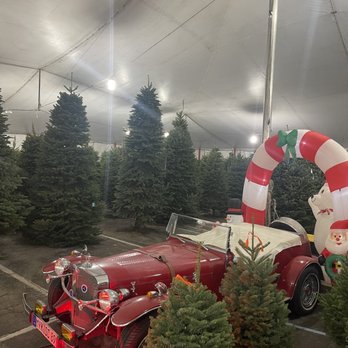 Glendale Tree Lot - Christmas Trees Near Me - Glendale, California