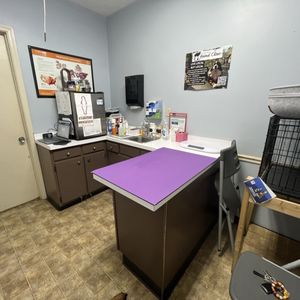 Vets In Bardstown Kynull