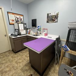 Mt Washington Animal Clinic - Exam room.