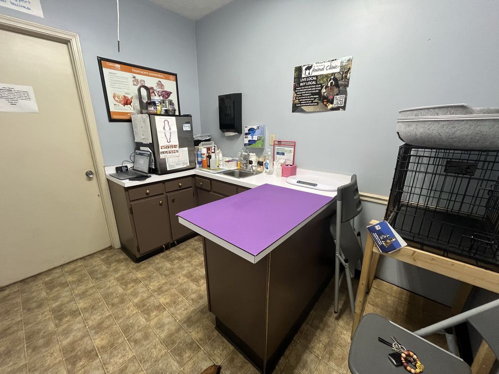 Mt Washington Animal Clinic - pet boarding facility in Mount Washington, KY