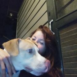 Carly's Cuddly Critter Care