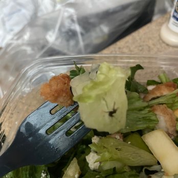 Chick-fil-A - What kind of bug is this? - Fast Food Near Me - Suwanee, Georgia