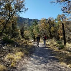 Bonita Canyon Campground