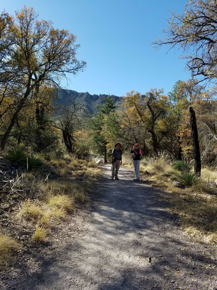 BONITA CANYON CAMPGROUND 12856 E Rhyolite Creek Rd, Willcox, AZ Yelp