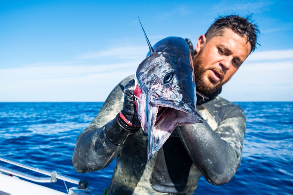 KAIROS SPEARFISHING Updated September 2024 Waialua, Hawaii Boat