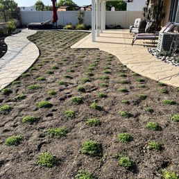 Walkway and patio Walkway and patio