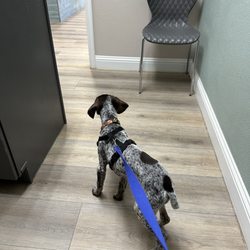 Town & Country Veterinary Clinic - Waiting room