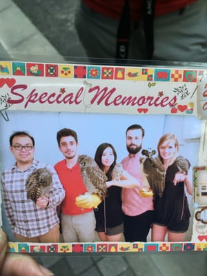 Owl Cafe Tokyo by null