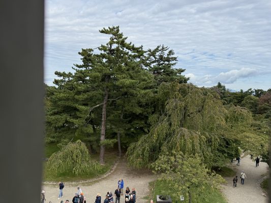 Hirosaki Castle by null