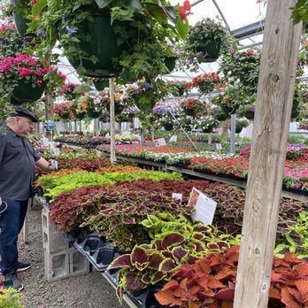 Tuttle Orchards - Greenhouse - Fruits & Veggies Near Me - Greenfield, Indiana