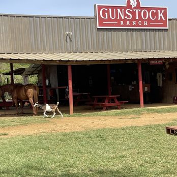 Gunstock Ranch - Horseback Riding Near Me - Laie, Hawaii Gunstock Ranch - Horseback Riding Near Me - Laie, Hawaii
