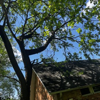 Paradise Tree & Landscaping - Dangerous branches above the house - Tree Services Near Me Paradise Tree & Landscaping - Dangerous branches above the house - Tree Services Near Me
