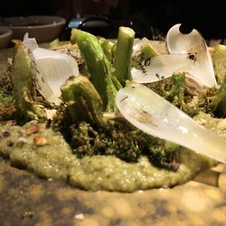 Jacinto 1930 - Broccoli Tipian