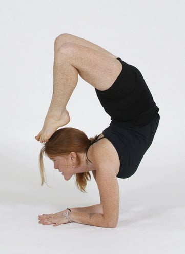 Yoga Oasis Logo