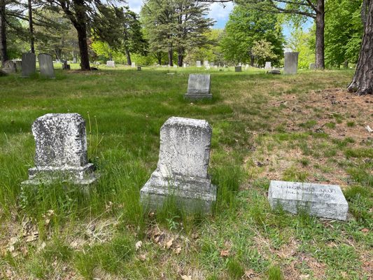 Western Cemetery by null