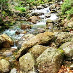 White Mountain National Forest