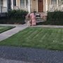 Photo of 217 Lawn Care