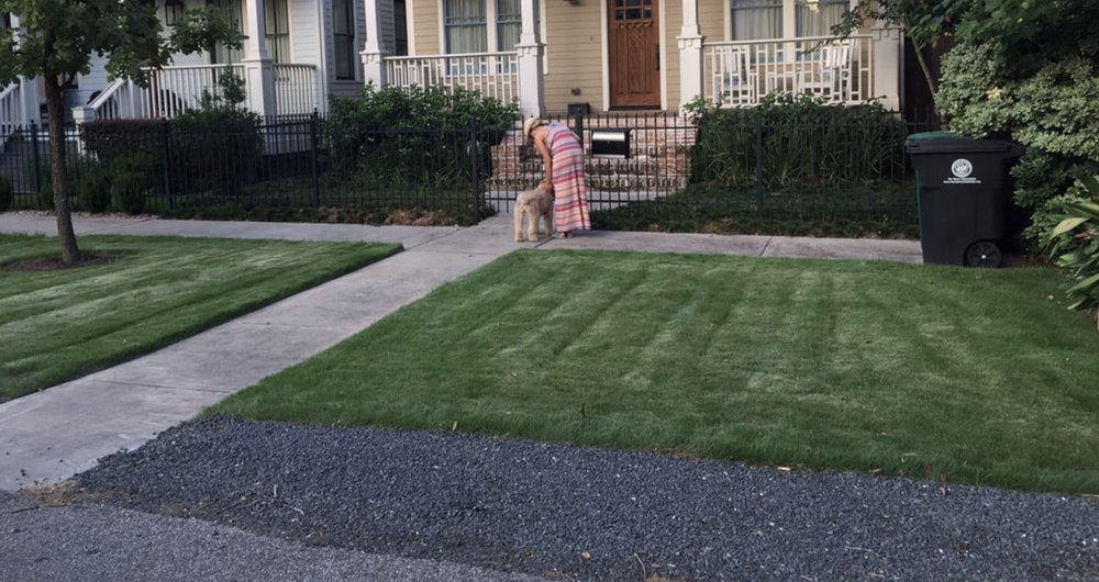 217 Lawn Care - tree service in Springfield, IL