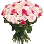 Photo of Au Nom de la Rose