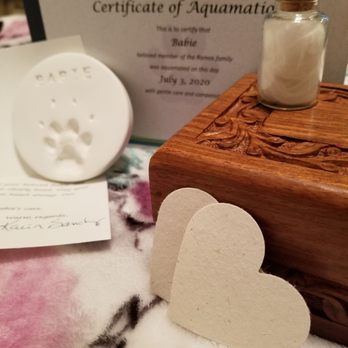 Eternal Waters Aquamation - Pet Cremation Services Near Me - Converse, Texas Eternal Waters Aquamation - Pet Cremation Services Near Me - Converse, Texas