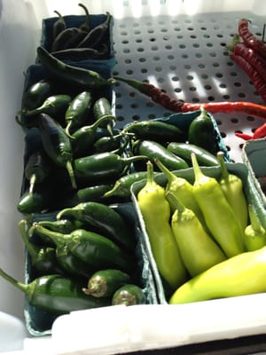 Govans Farmers' Market by null