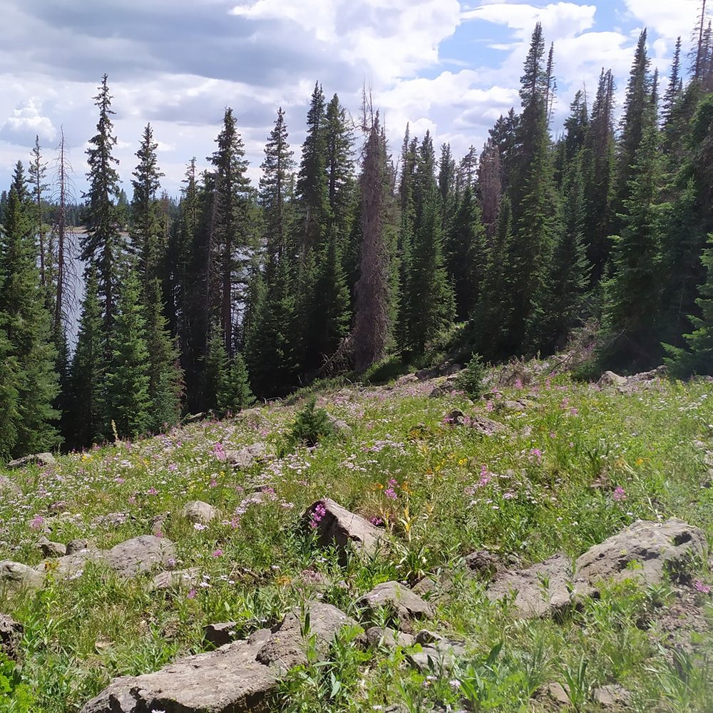 Grand Mesa Lodge - path down to lake - very nice and very steep - Tours Near Me - Cedaredge, Colorado