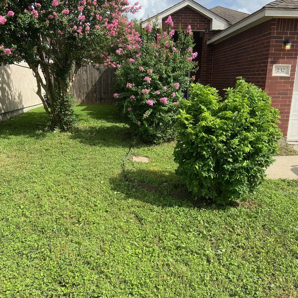 Vann’s Exterior Solutions  - This is the after - the difference is remarkable! - Pressure Washers Near Me