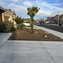 Photo of Homeowner Turf Direct