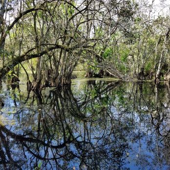 Audubon's Corkscrew Swamp Sanctuary - Hiking Near Me - Naples, Florida