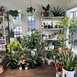 Leaf and Spine - Inside view of one portion of the cute shop