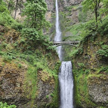 Wildwood Adventures - Multnomah Falls - Tours Near Me Wildwood Adventures - Multnomah Falls - Tours Near Me