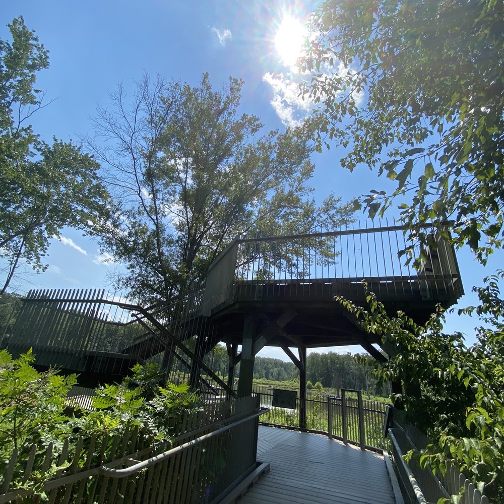 Huntley Meadows Park - Parks Near Me - Alexandria, Virginia Huntley Meadows Park - Parks Near Me - Alexandria, Virginia
