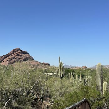 Desert Botanical Garden - Botanical Gardens Near Me - Phoenix, Arizona