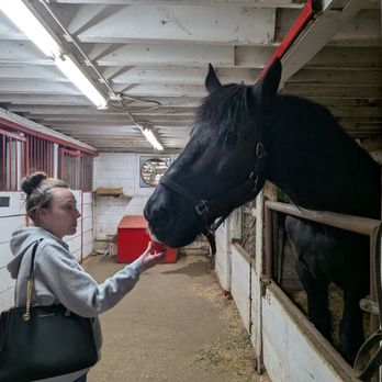 Memory Lane Stables - Horseback Riding Near Me - Willow Springs, Illinois