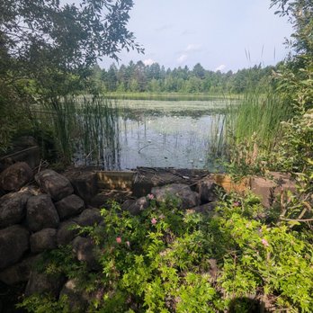 The Wild Center - Museums Near Me - Tupper Lake, New York