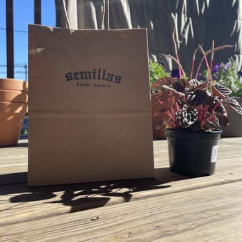 Semillas - Nurseries & Gardening Near Me - Chicago, Illinois