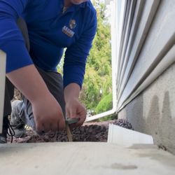 Anchor Pest Control - We can set traps for pest that you don't want entering your home.