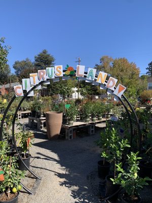 King S Nursery Updated September 2024 112 Photos 120 Reviews King S Nursery Updated September 2024 112 Photos 120 Reviews