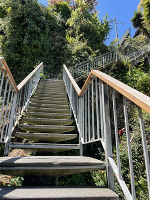 Filbert Steps by null