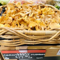 Local Chantrelle Mushrooms 