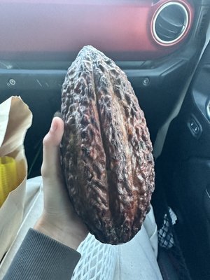 Tan Sang Tropical Fruit by null