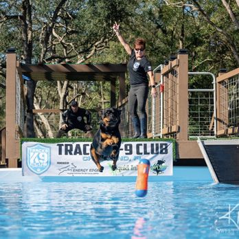 Tracks K9 Club - Pet Training Near Me - Chiefland, Florida Tracks K9 Club - Pet Training Near Me - Chiefland, Florida