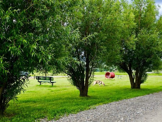 Bear Canyon Campground by null