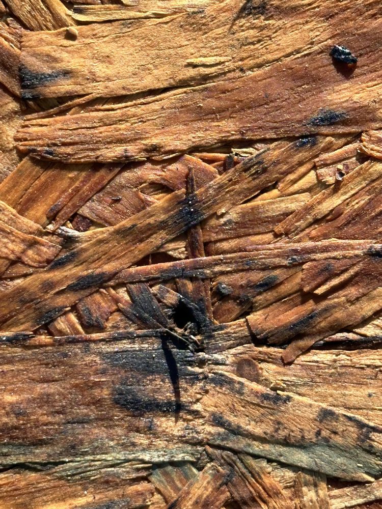 Slide of Salvo Roofing