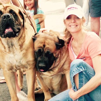 Cozy Critters Pet Care - Pet Sitting Near Me Cozy Critters Pet Care - Pet Sitting Near Me