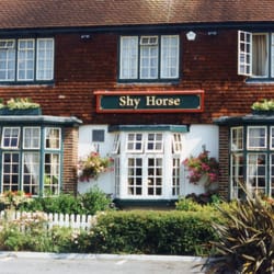 The Shy Horse