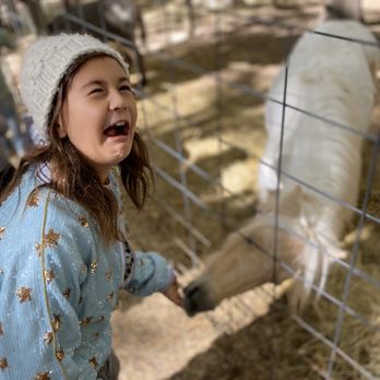 The Apple Works - Petting zoo - Farms Near Me - Trafalgar, Indiana